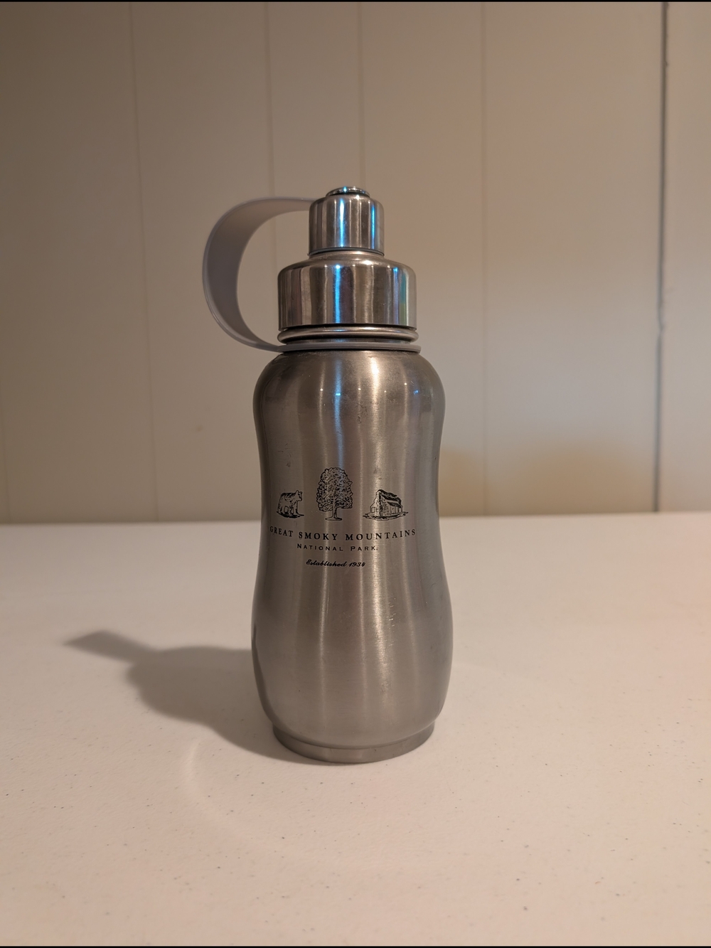 Great Smoky Mountains Stainless Steel Water Bottle - Silver